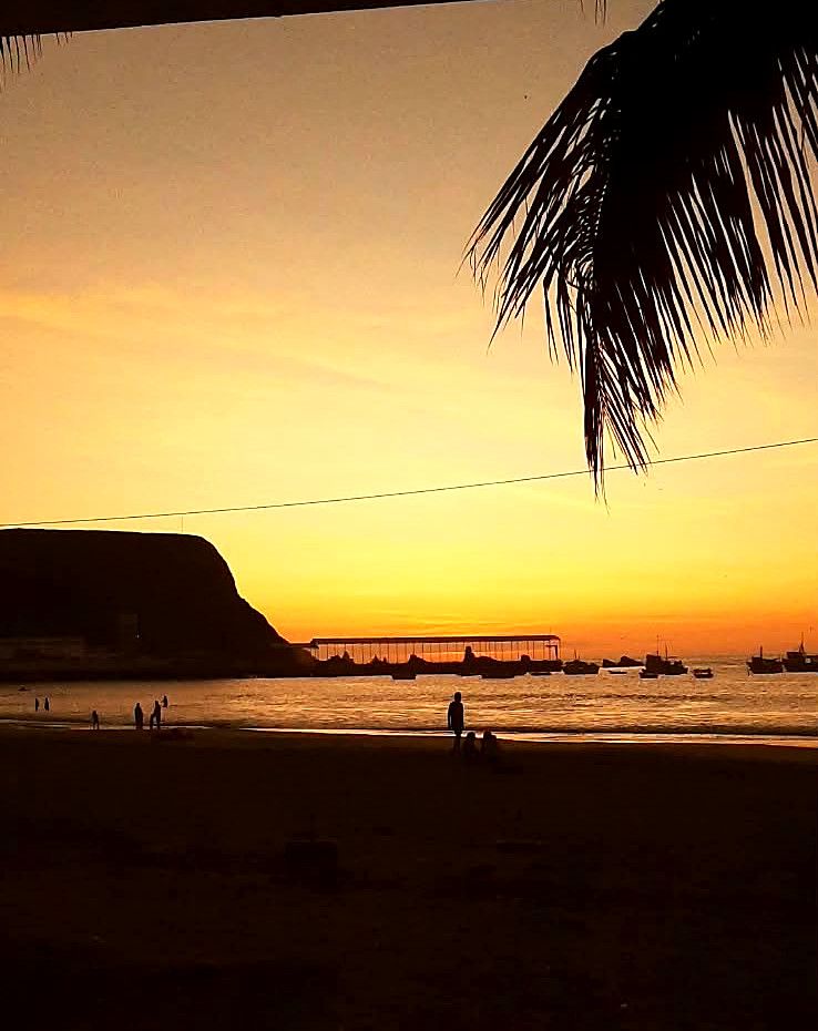 Atardecer visto desde la playa, con una palmera